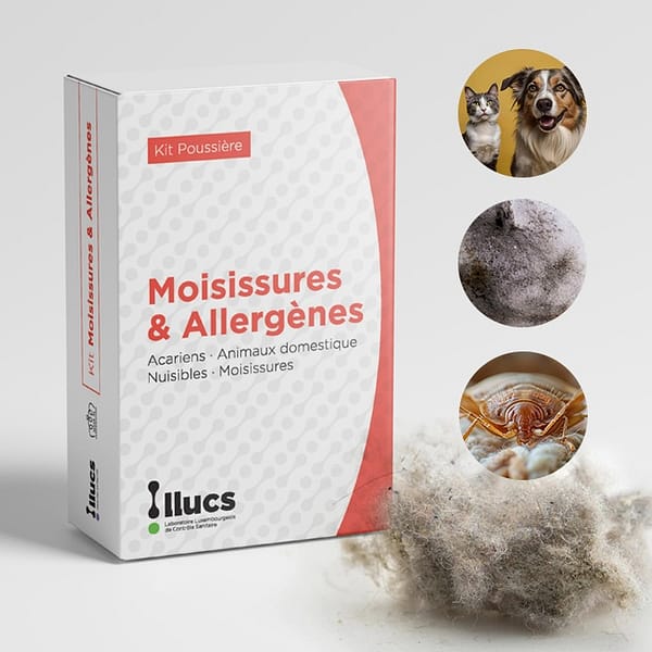 Kit Moisissures : Champignons - Moisissures invisibles