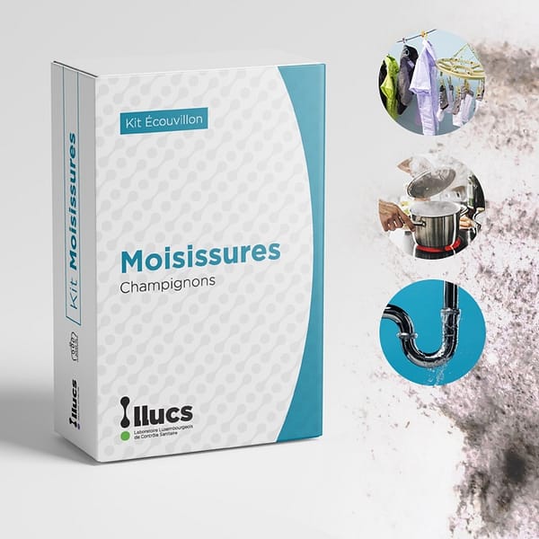 Kit Moisissures : Champignons - Moisissures visibles